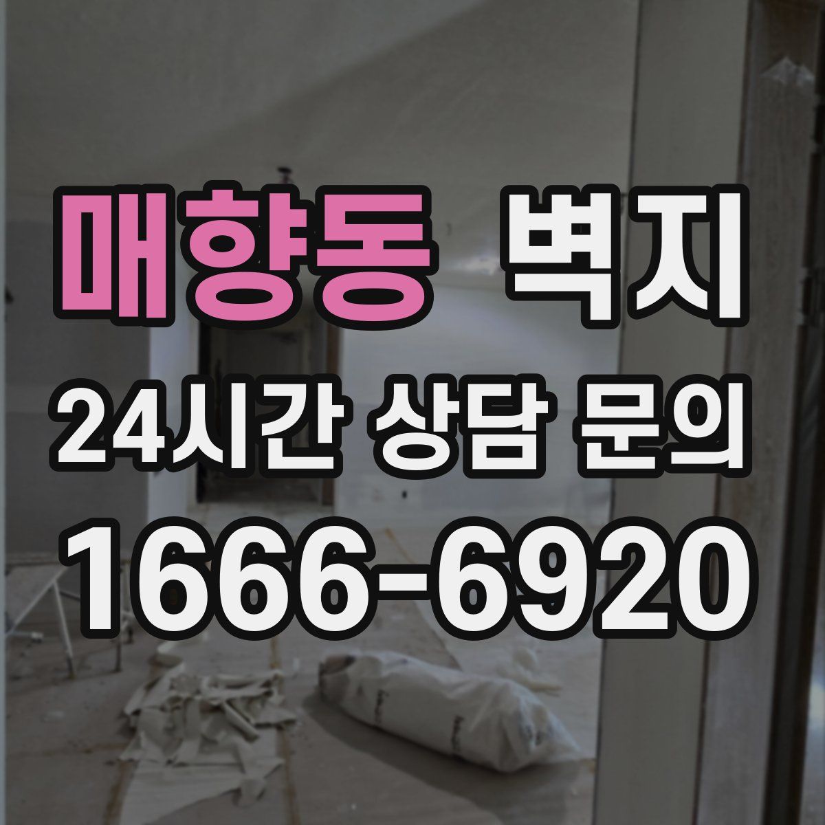 매향동 벽지