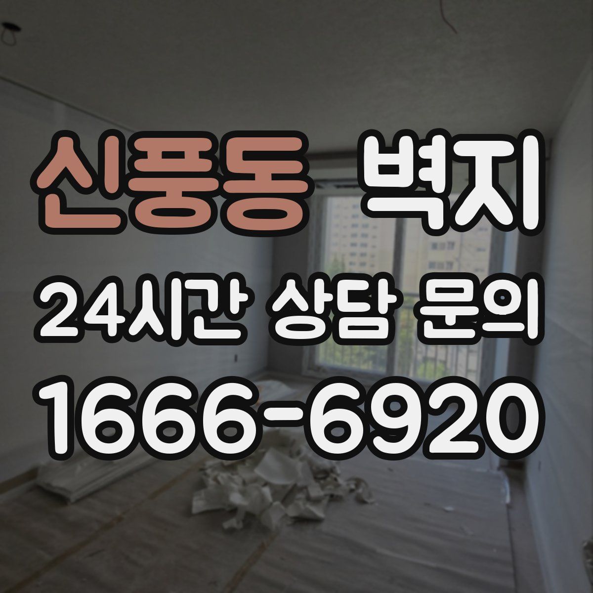 신풍동 벽지