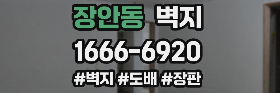 장안동 벽지