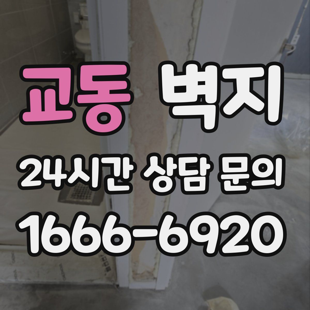 교동 벽지