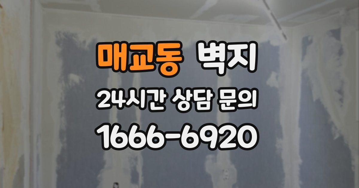 매교동 벽지