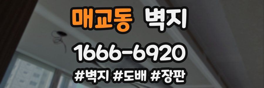 매교동 벽지