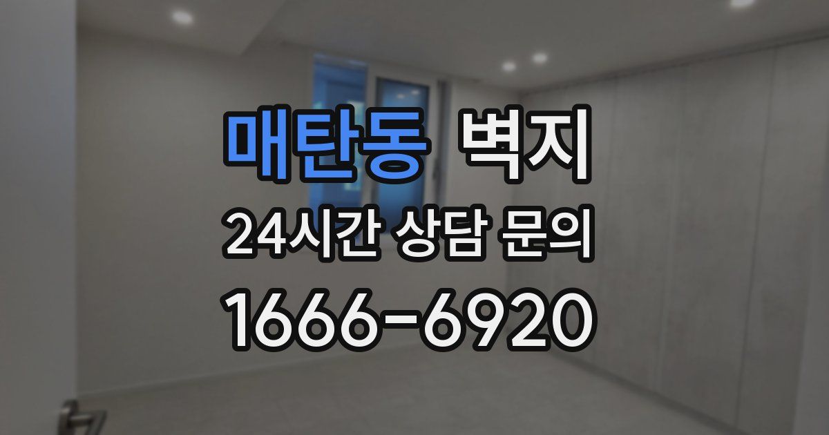 매탄동 벽지