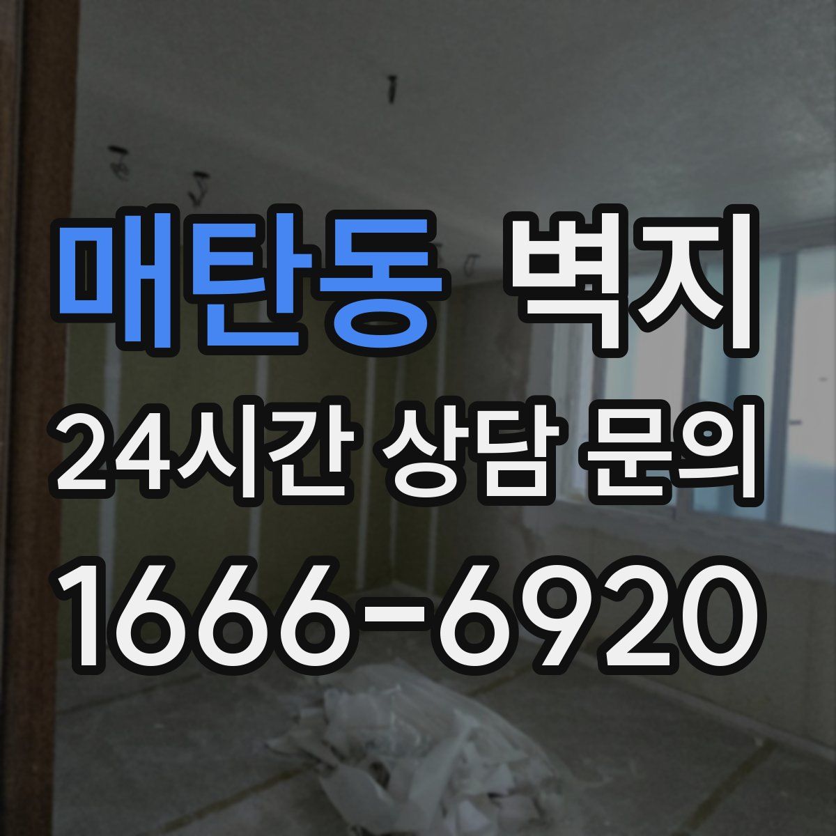 매탄동 벽지