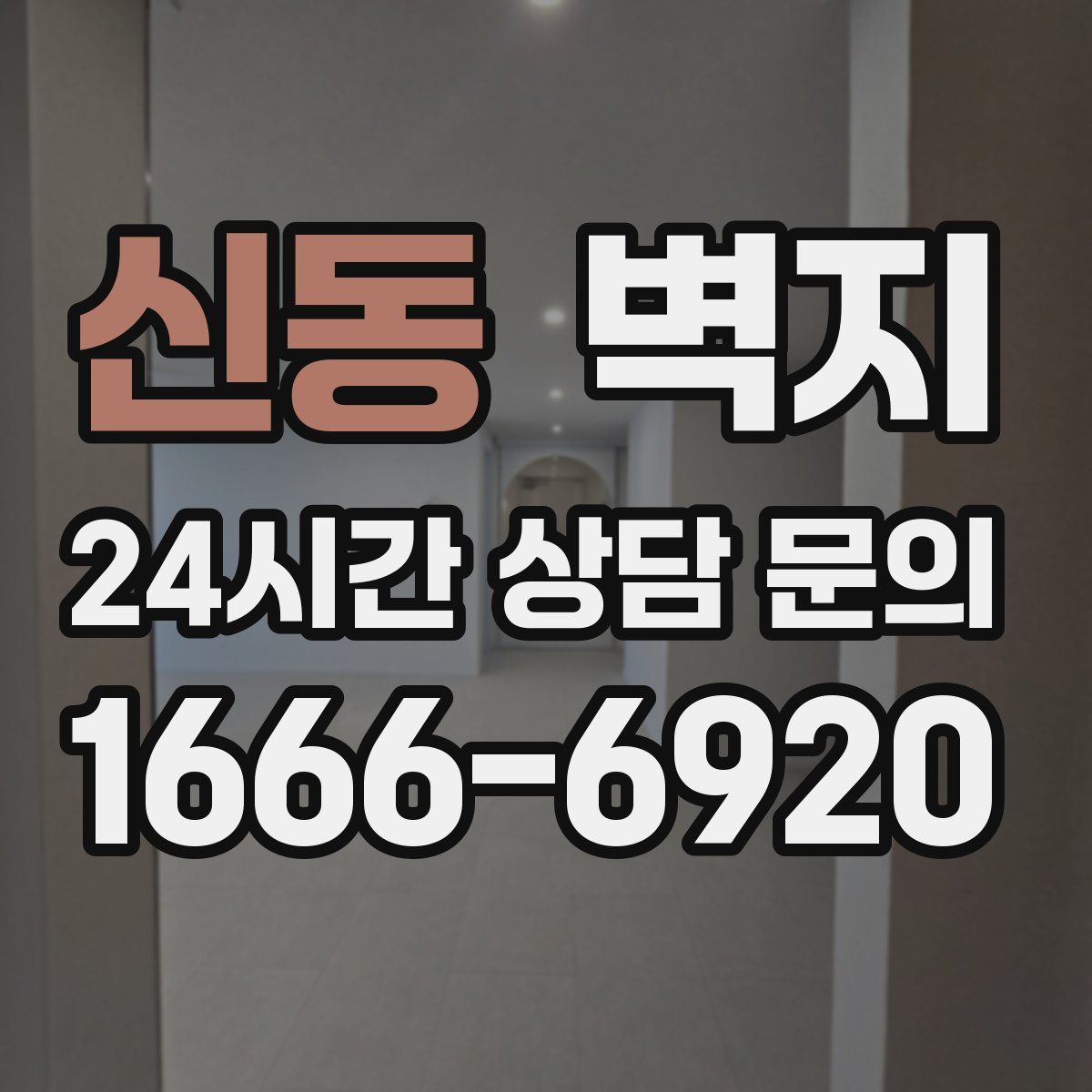 신동 벽지