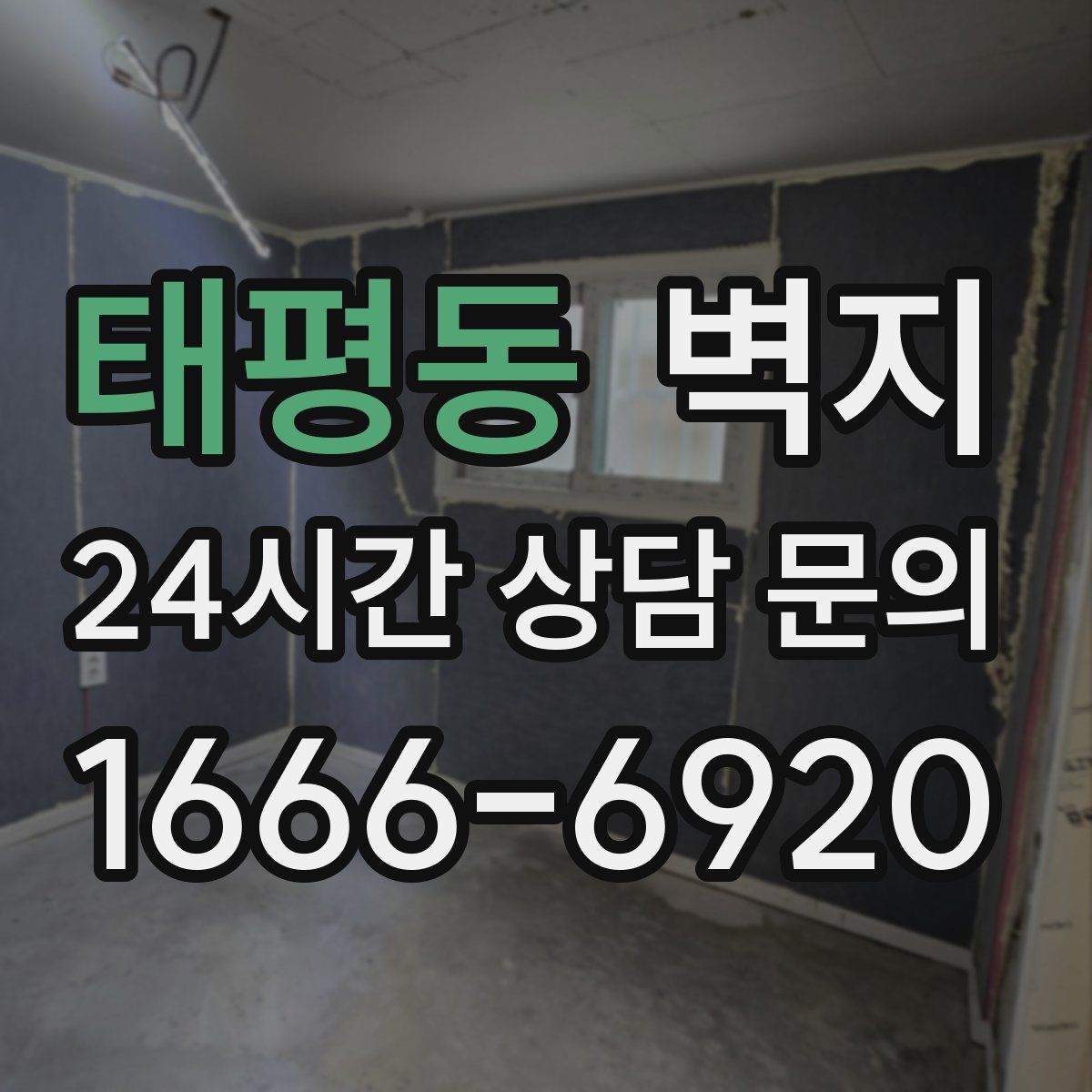 태평동 벽지