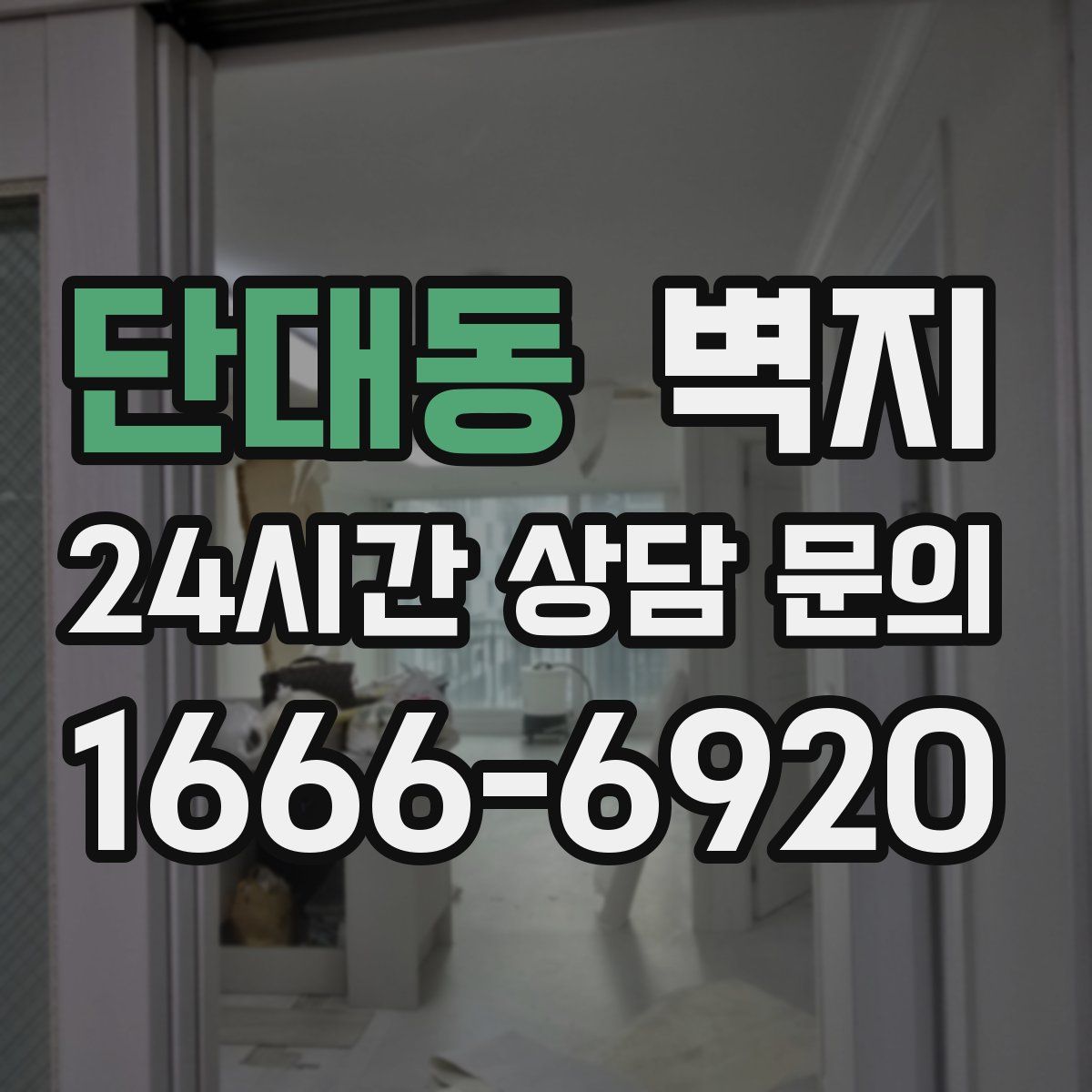 단대동 벽지