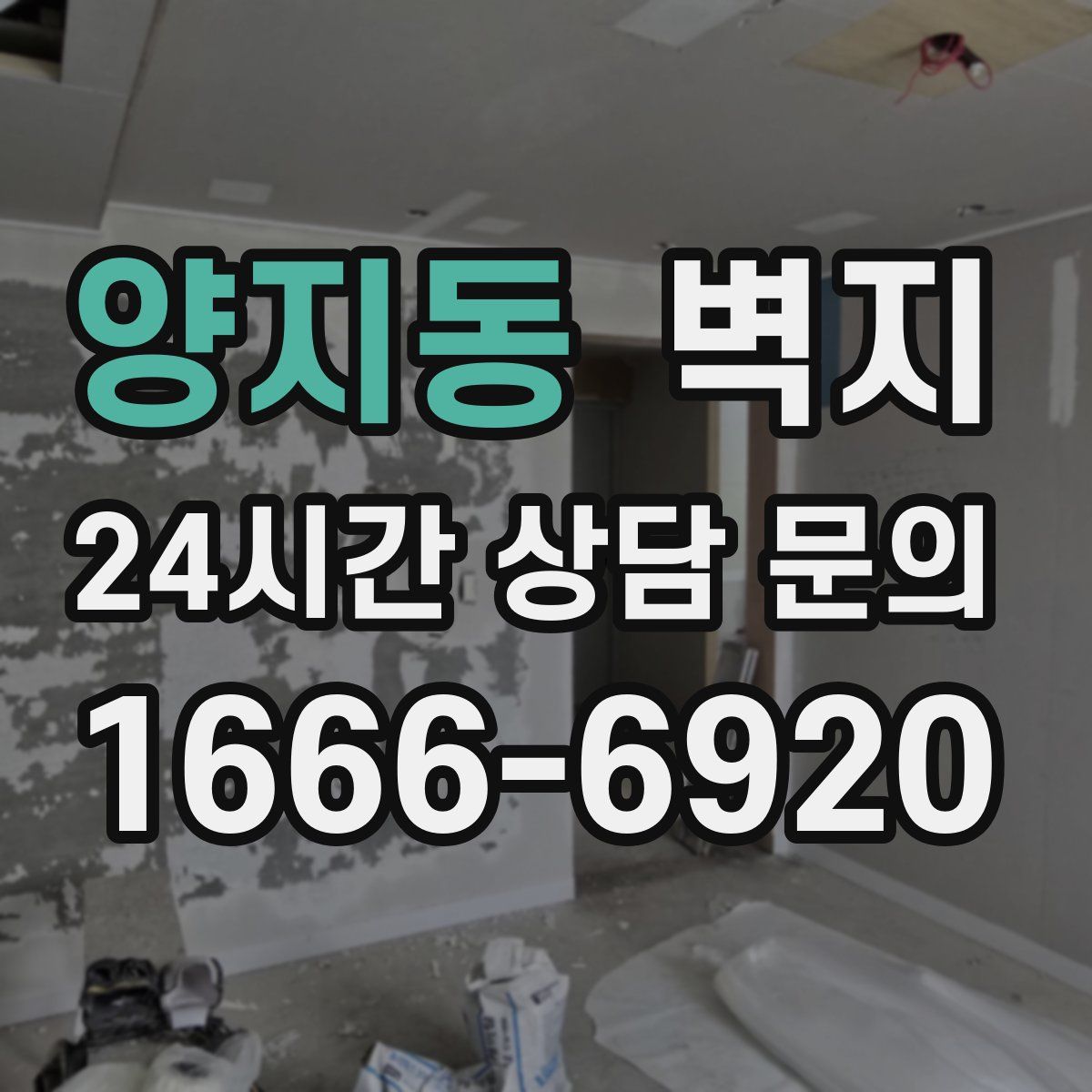 양지동 벽지