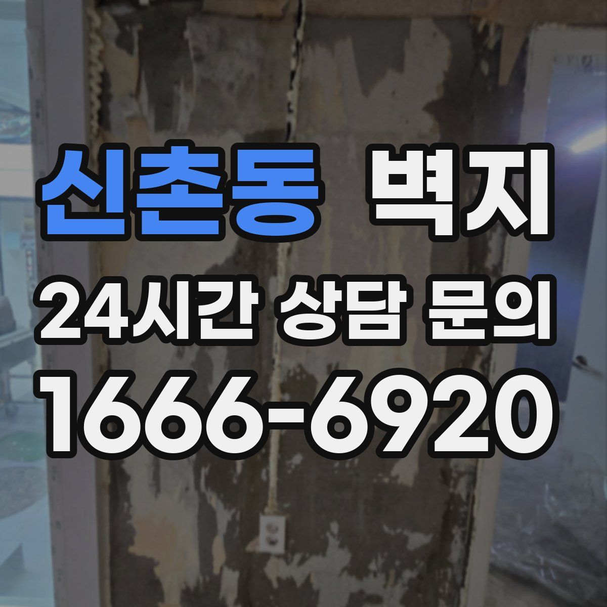 신촌동 벽지