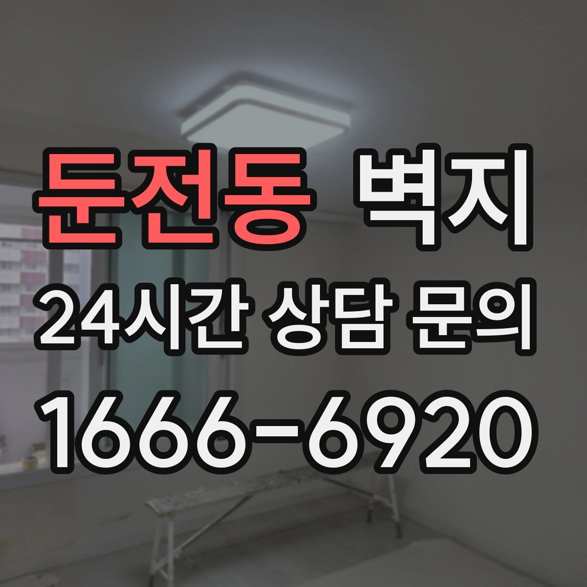 둔전동 벽지
