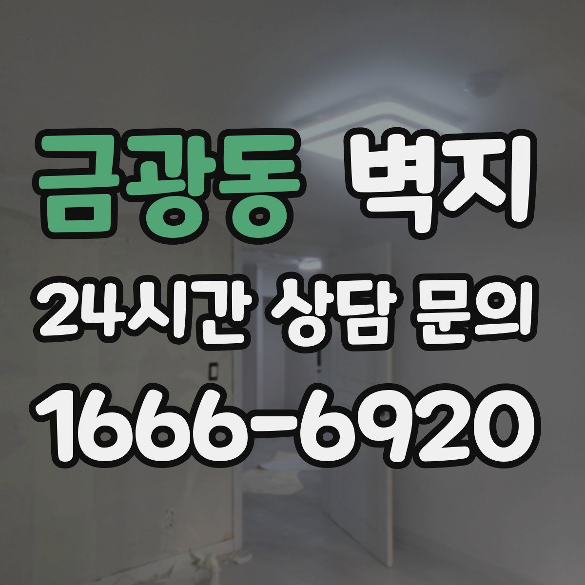 금광동 벽지