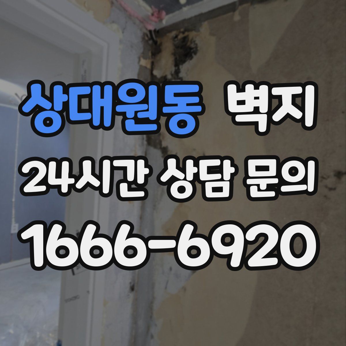상대원동 벽지