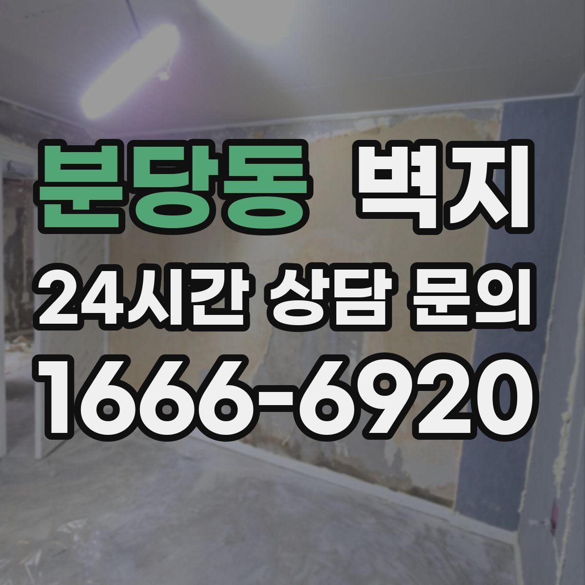 분당동 벽지