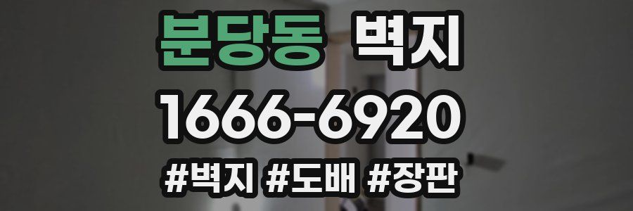 분당동 벽지