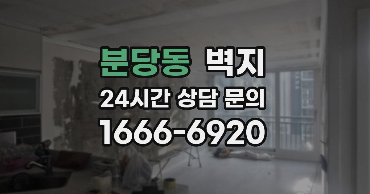 분당동 벽지