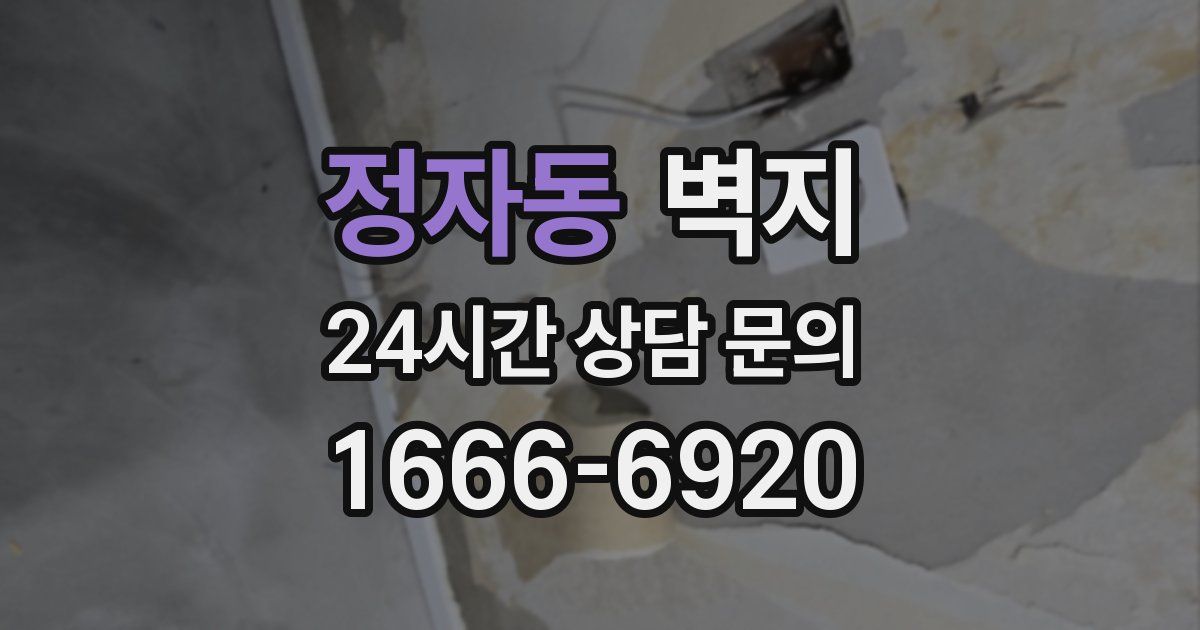 정자동 벽지