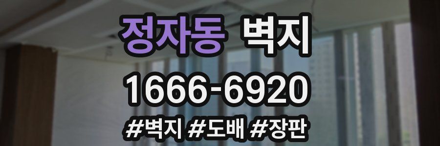 정자동 벽지