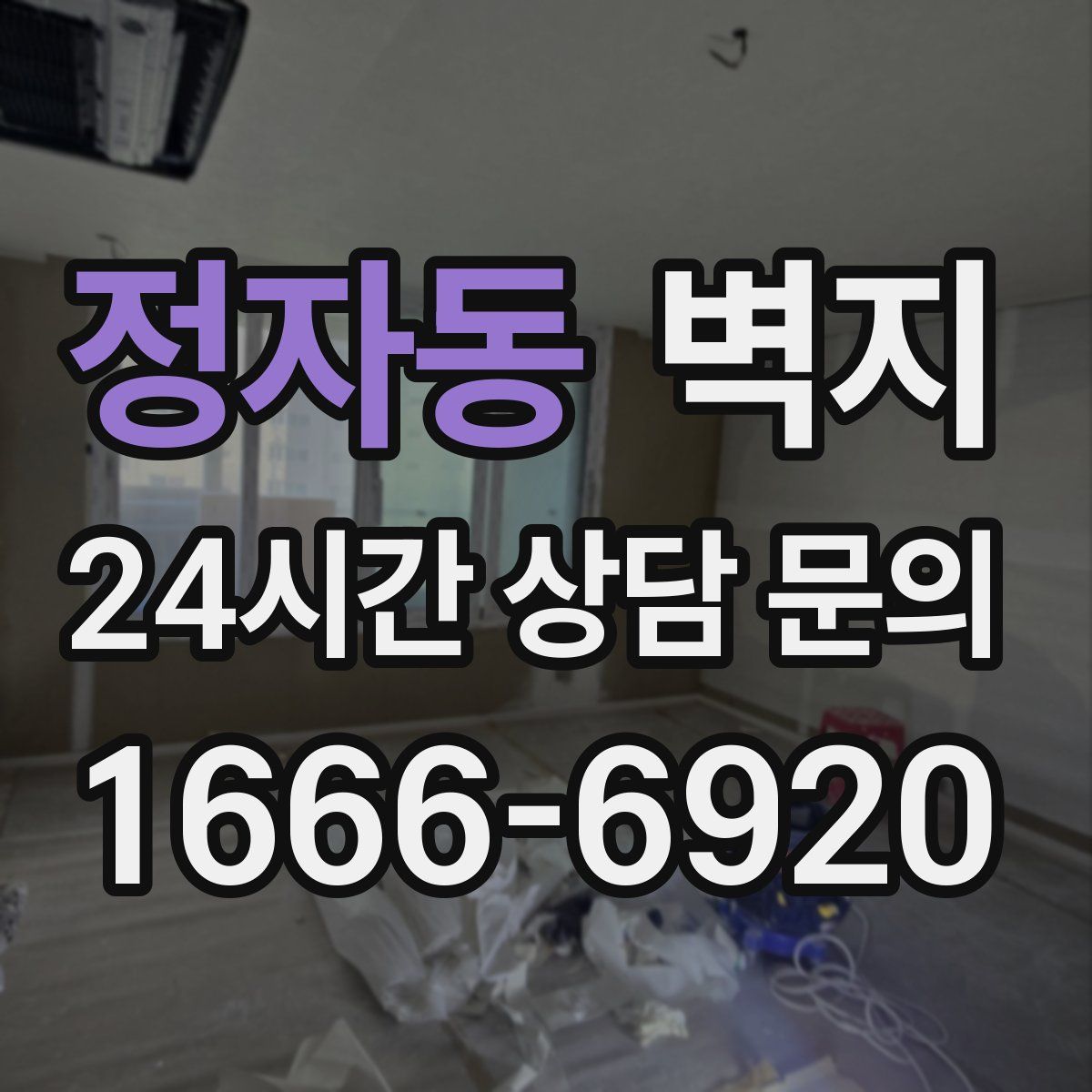정자동 벽지