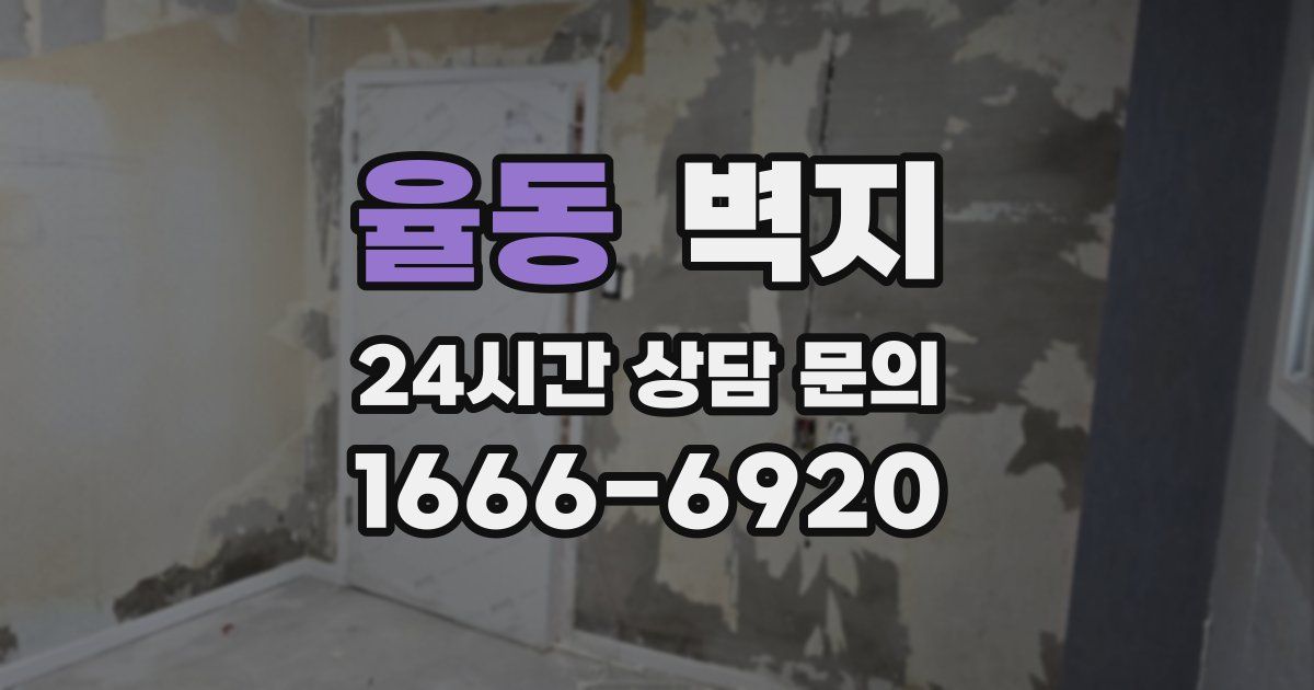 율동 벽지