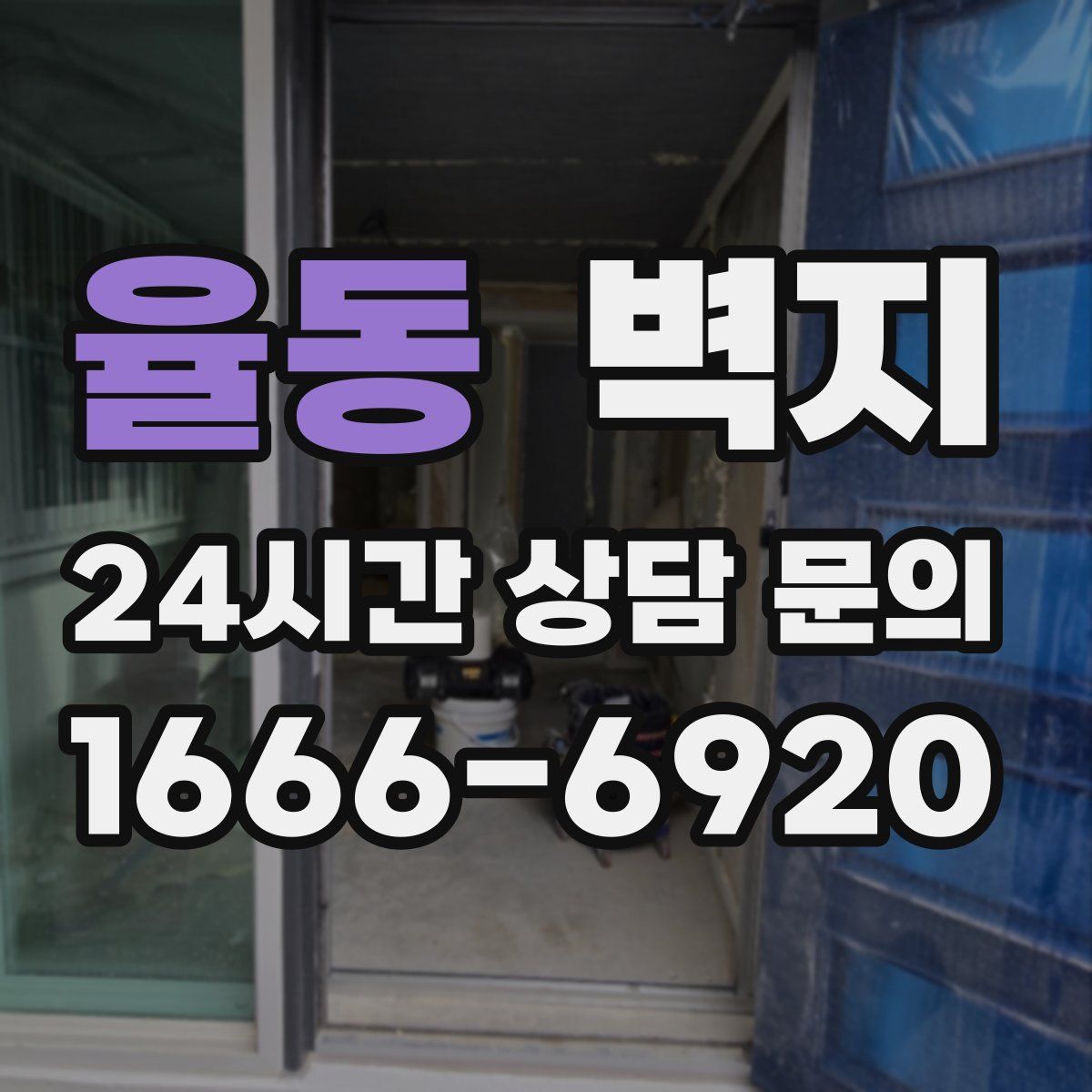 율동 벽지