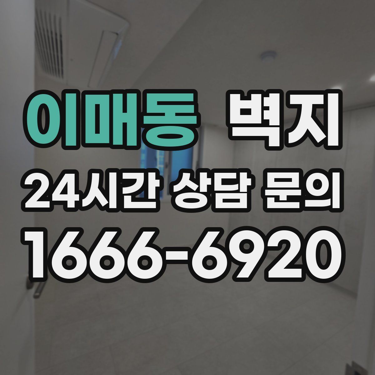 이매동 벽지