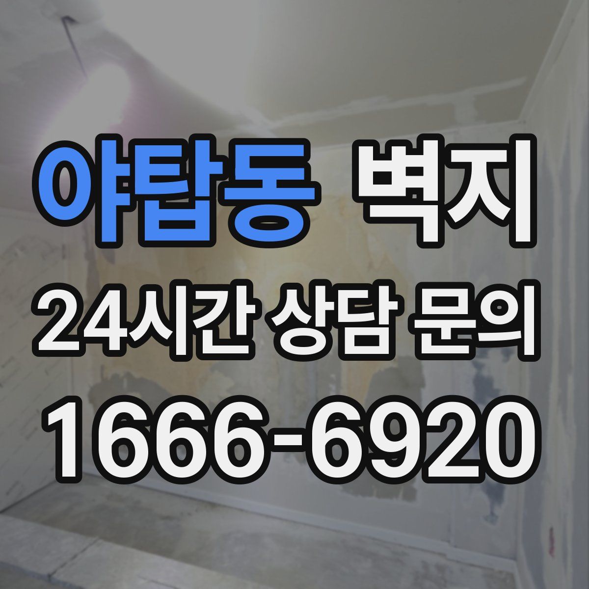 야탑동 벽지