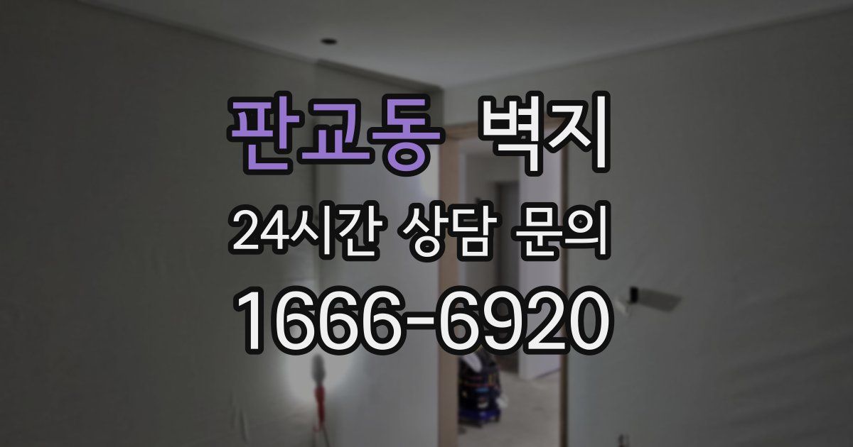판교동 벽지