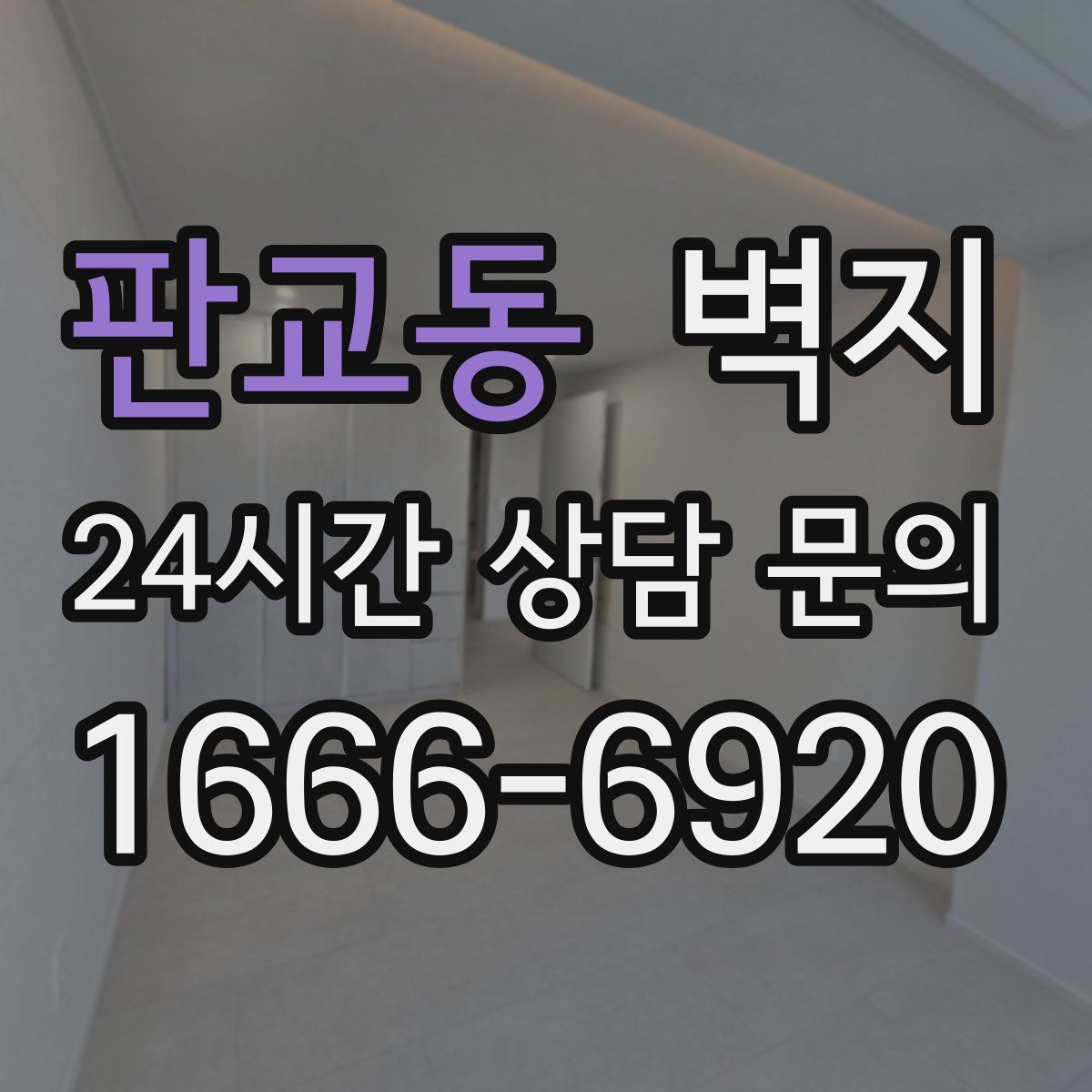 판교동 벽지