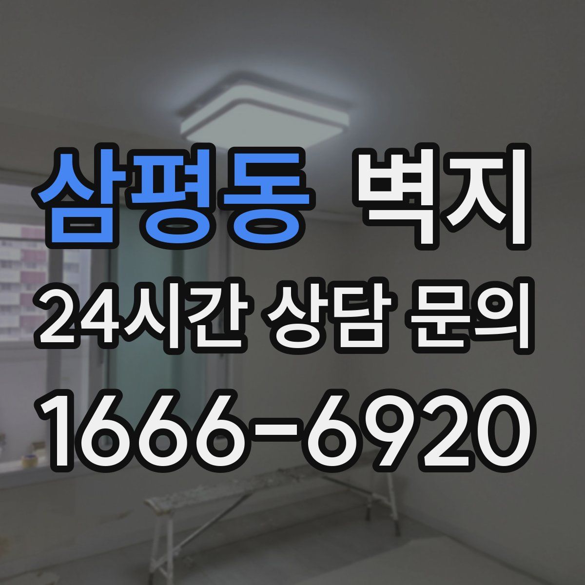 삼평동 벽지