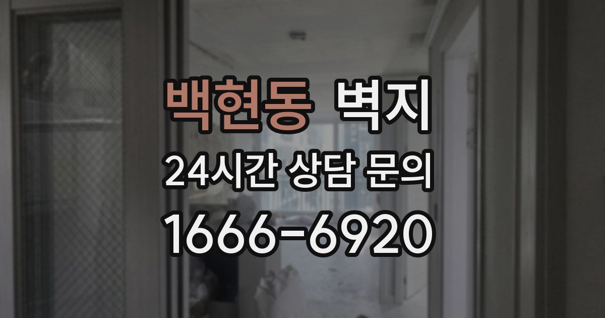 백현동 벽지
