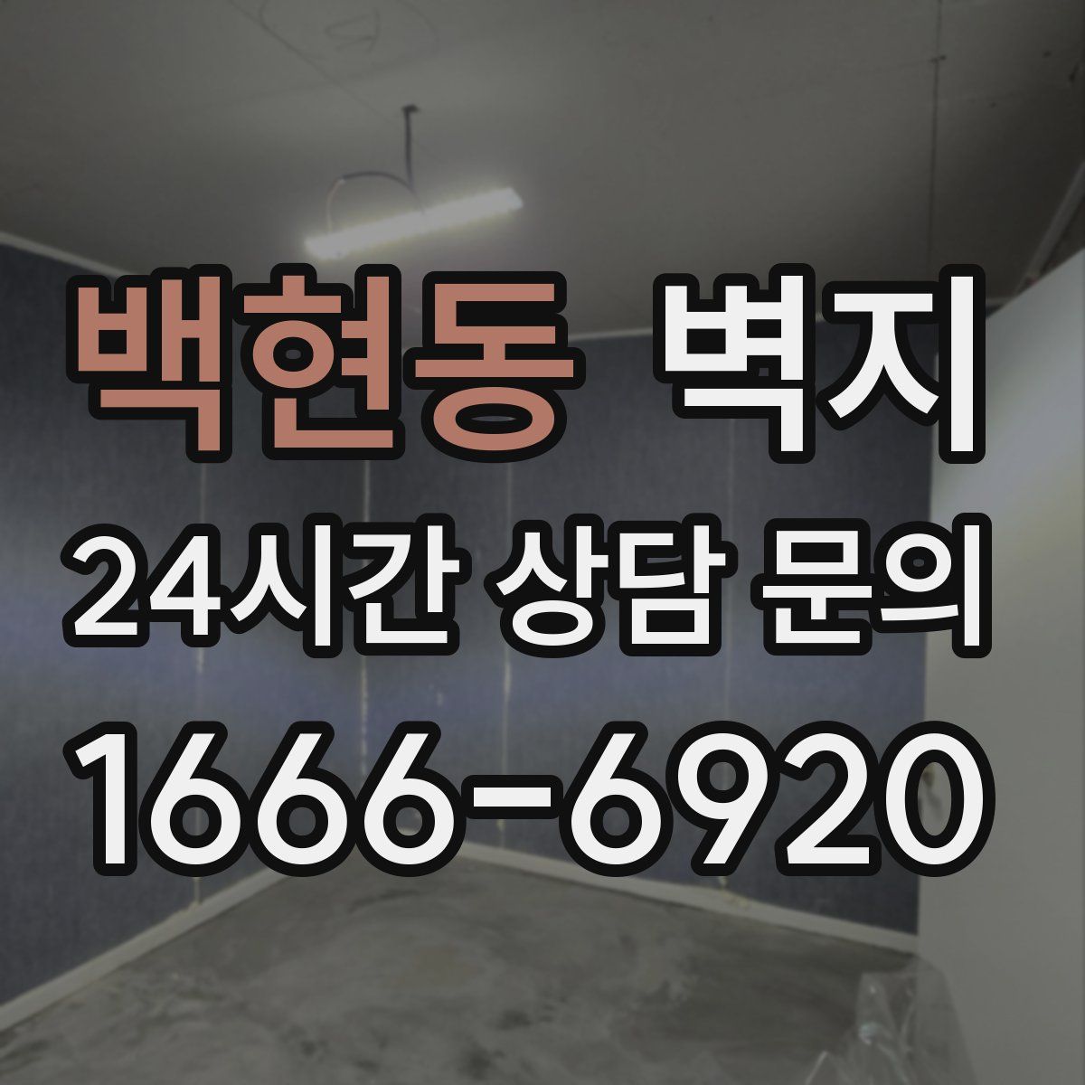백현동 벽지