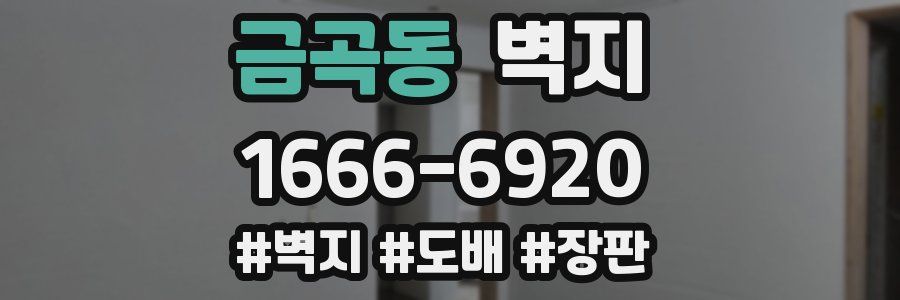 금곡동 벽지