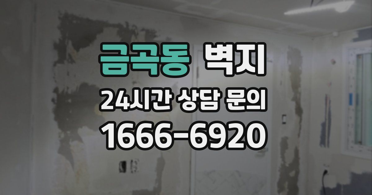 금곡동 벽지