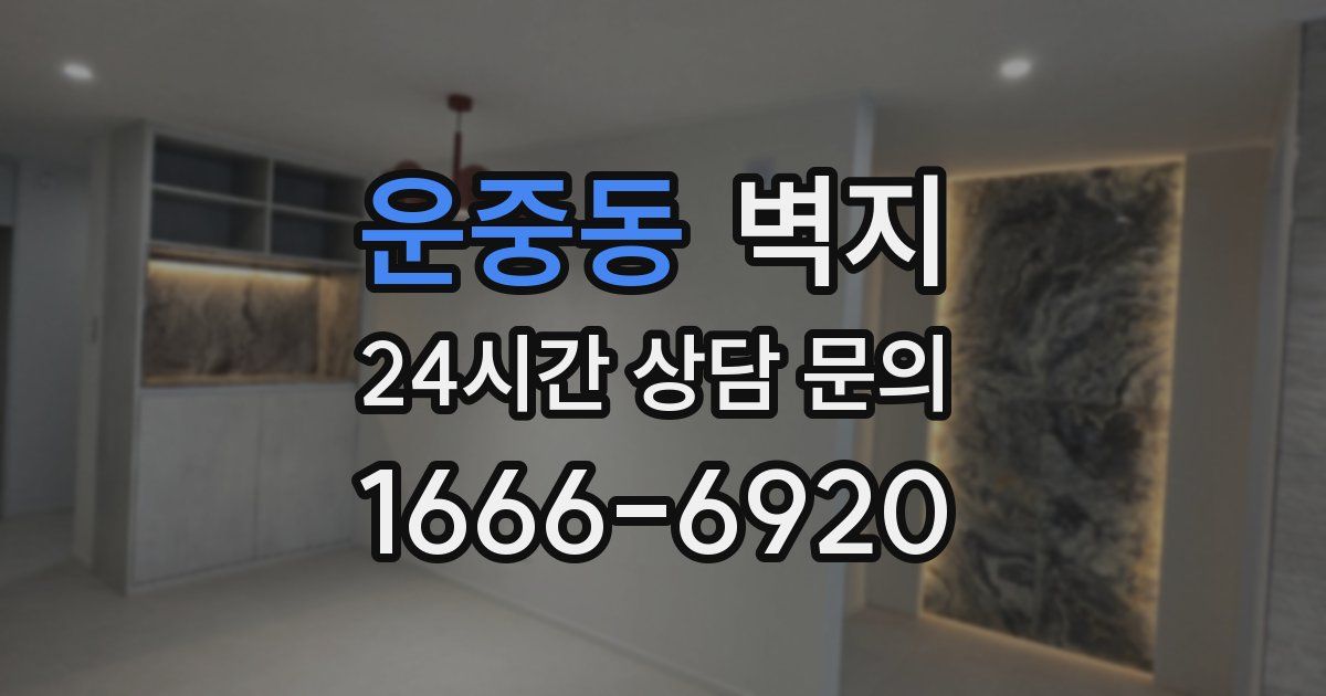 운중동 벽지