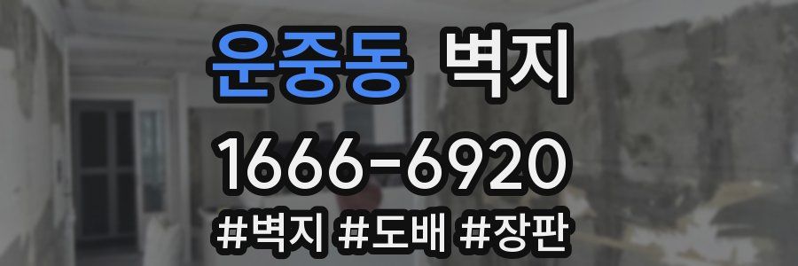 운중동 벽지