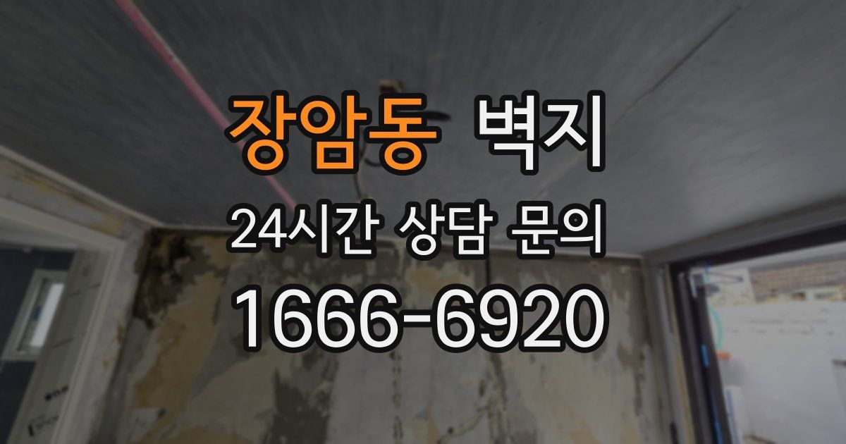 장암동 벽지