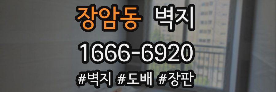 장암동 벽지