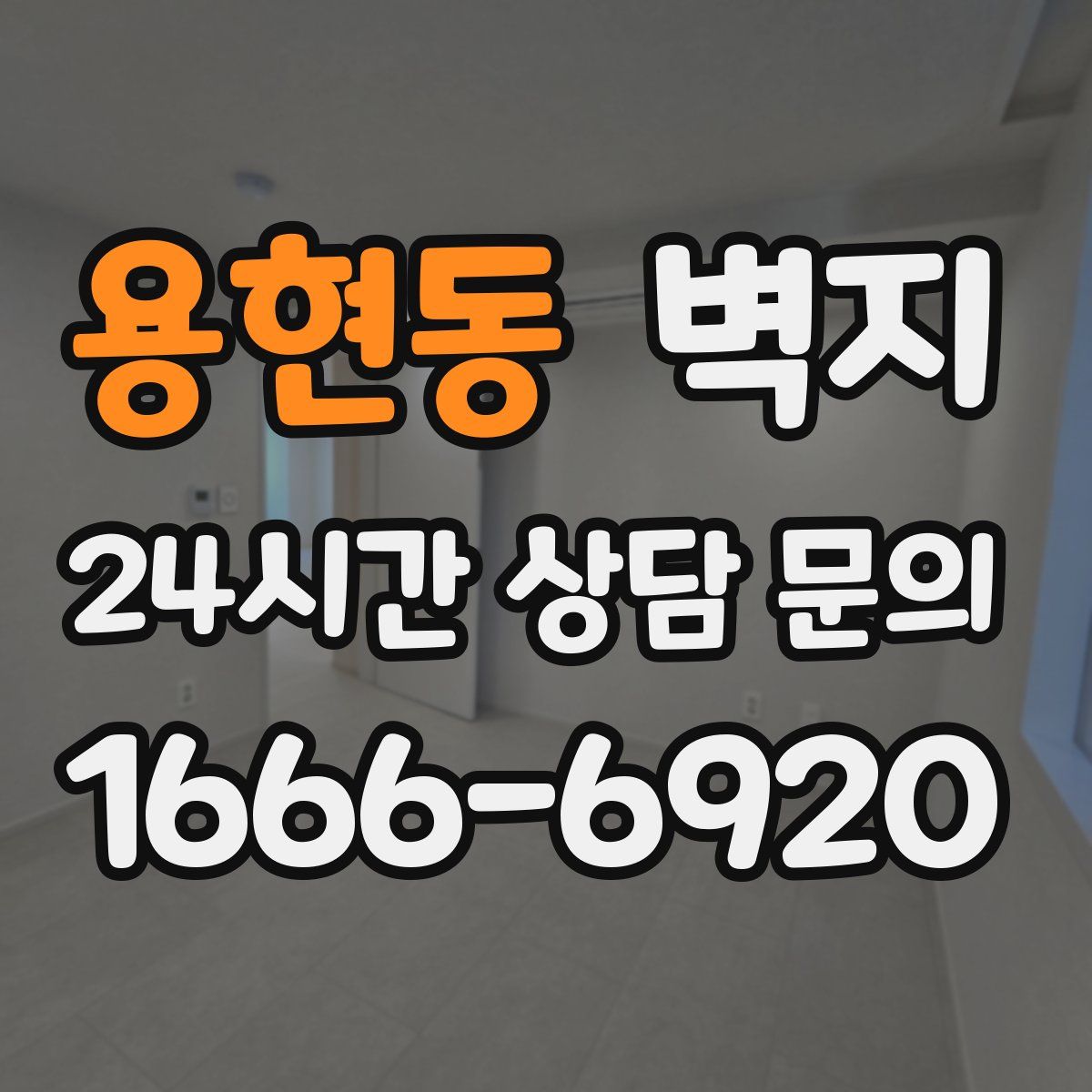 용현동 벽지