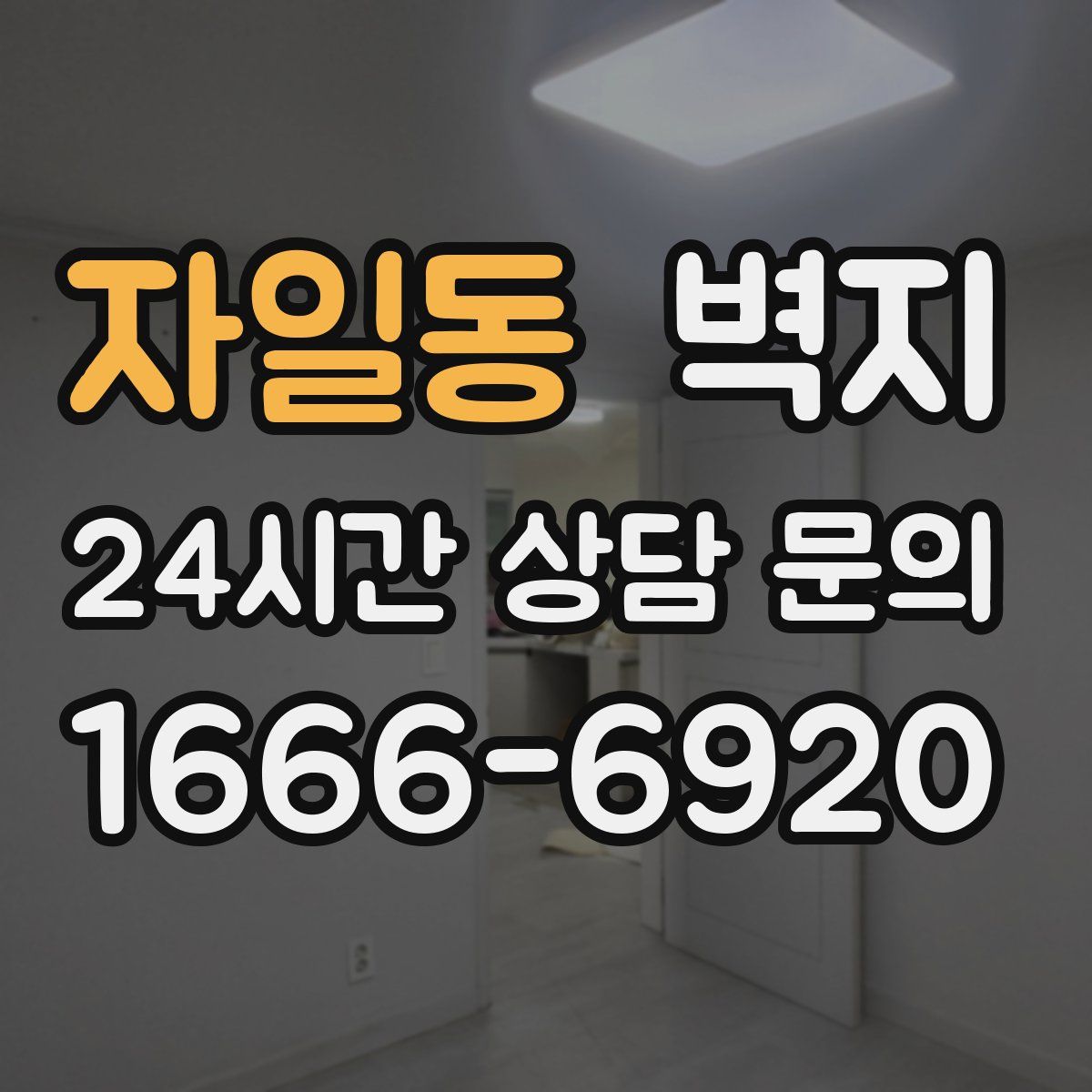 자일동 벽지