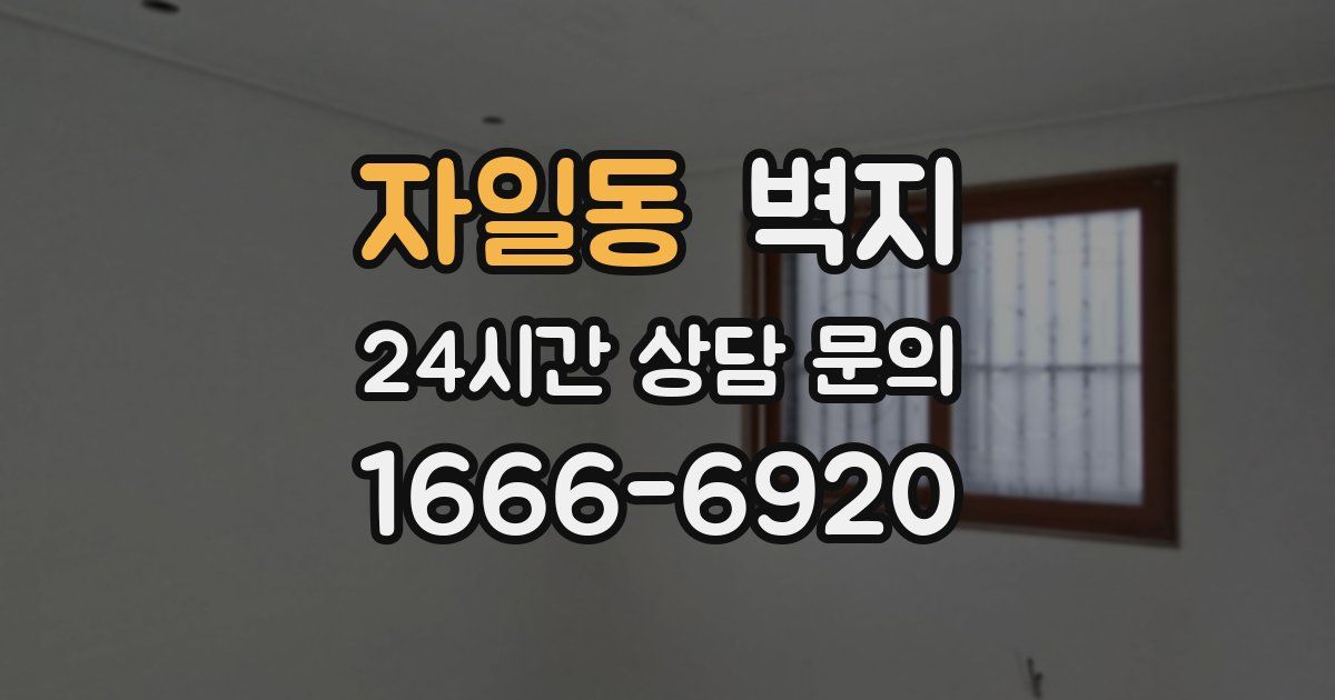 자일동 벽지