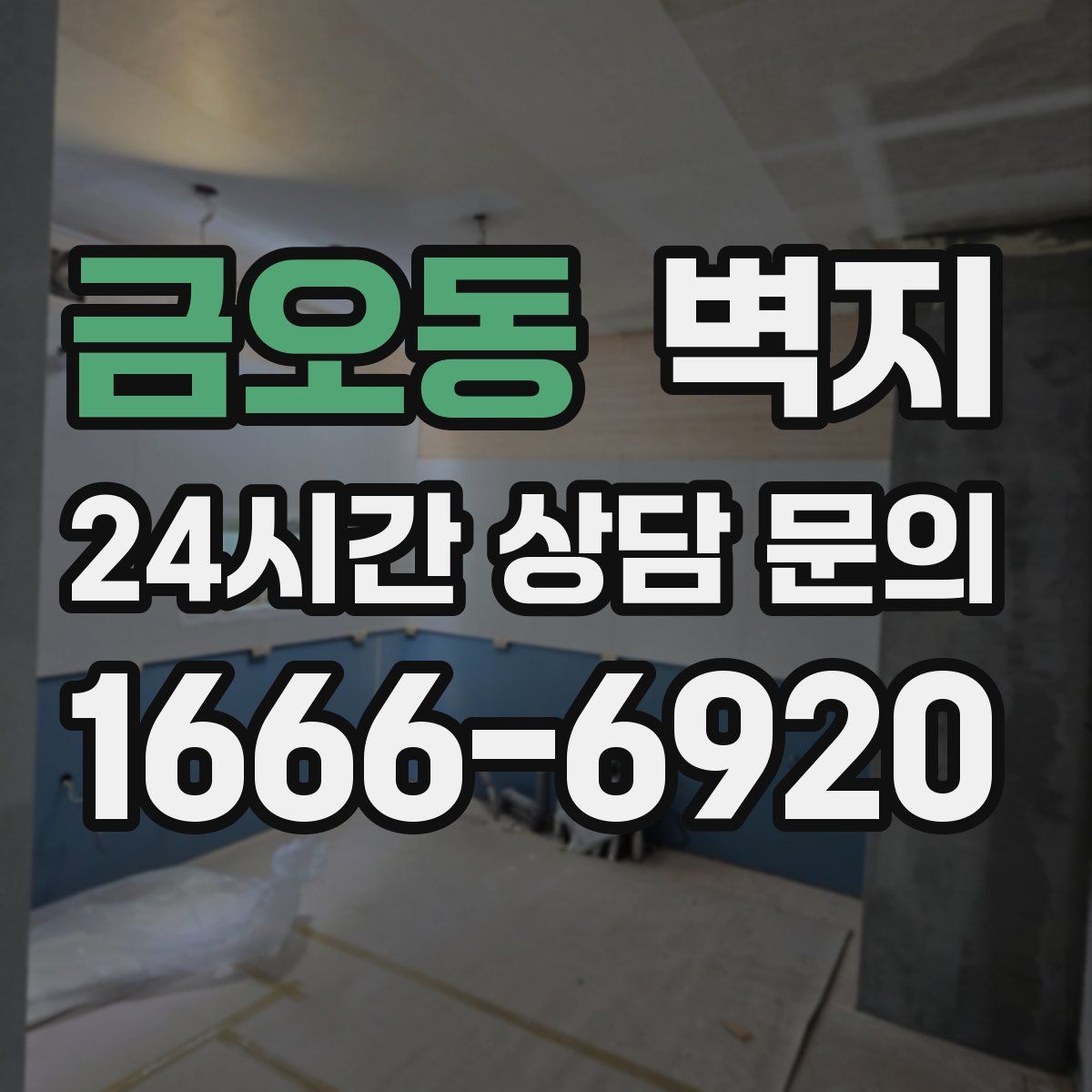 금오동 벽지