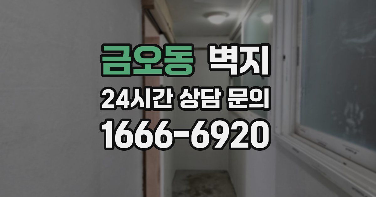 금오동 벽지