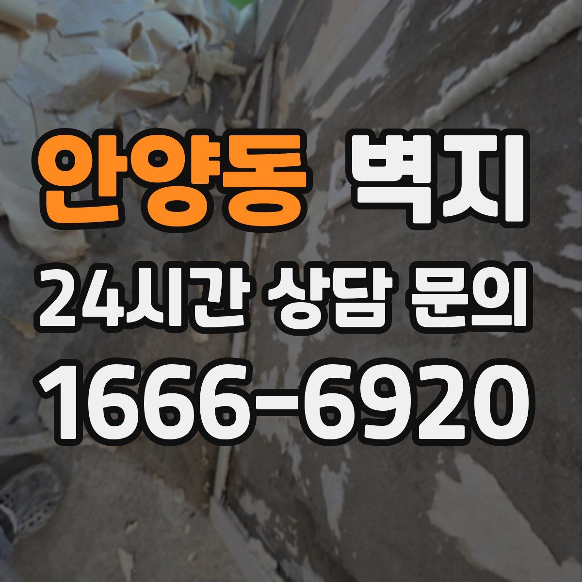 안양동 벽지