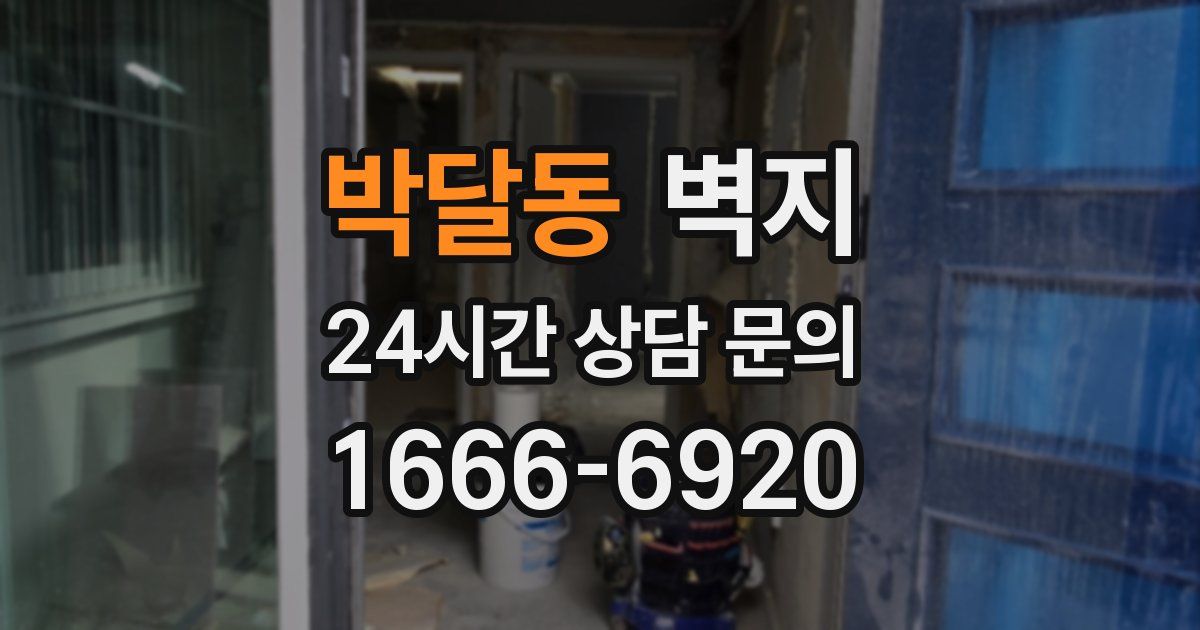 박달동 벽지