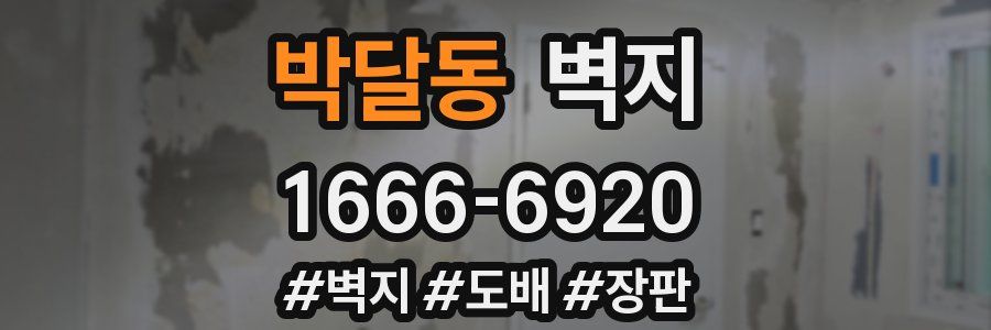 박달동 벽지