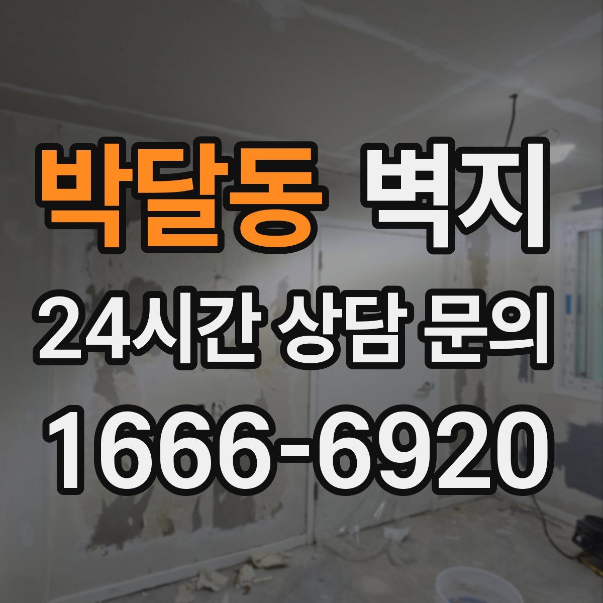 박달동 벽지