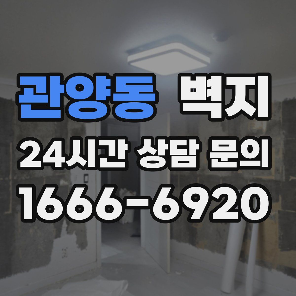 관양동 벽지