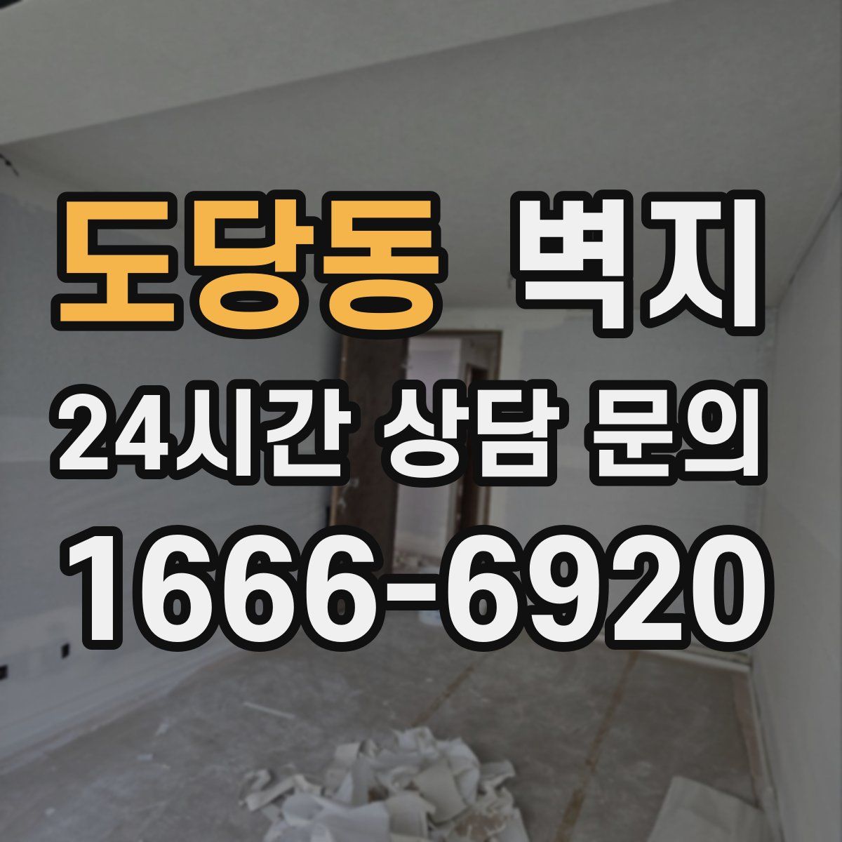도당동 벽지