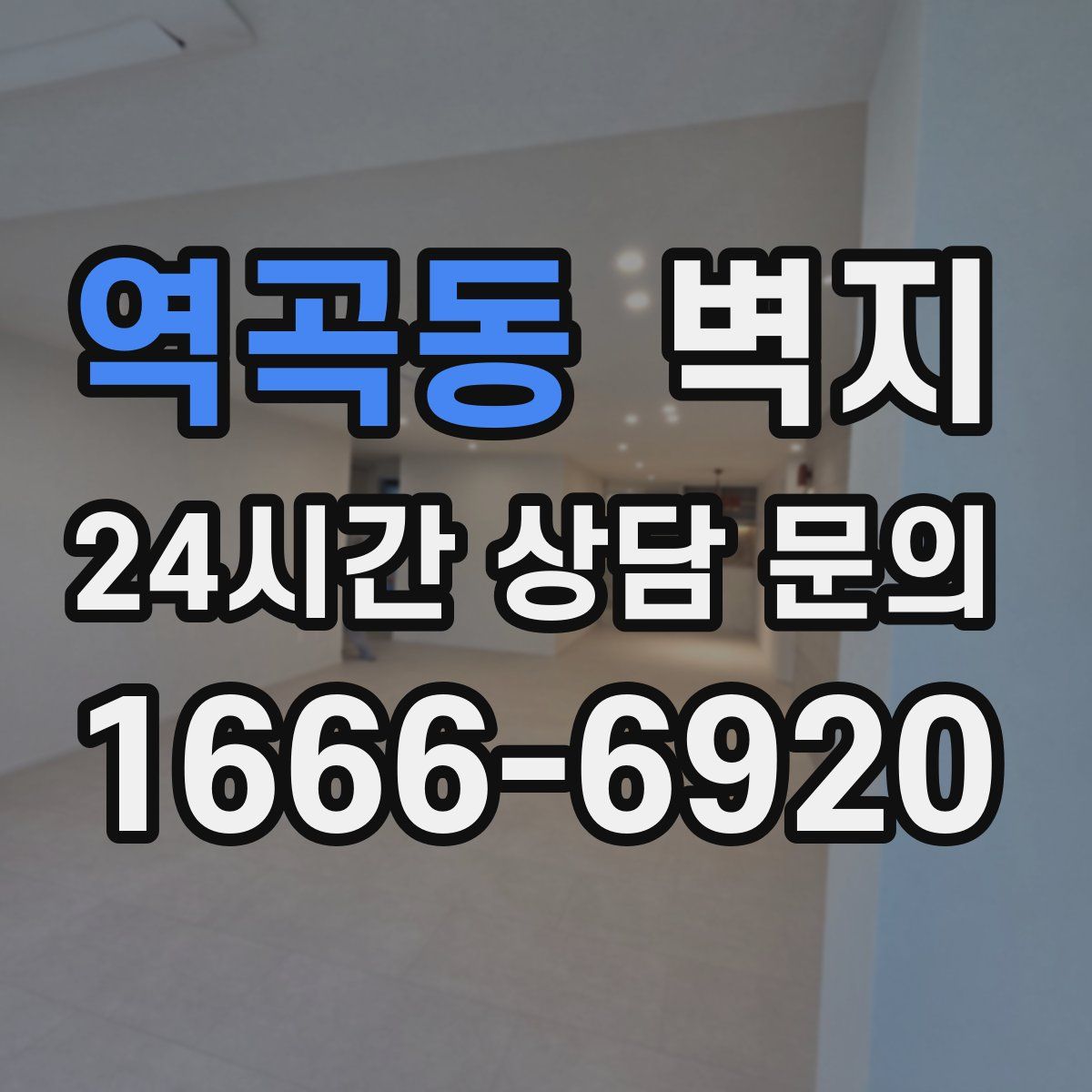 역곡동 벽지