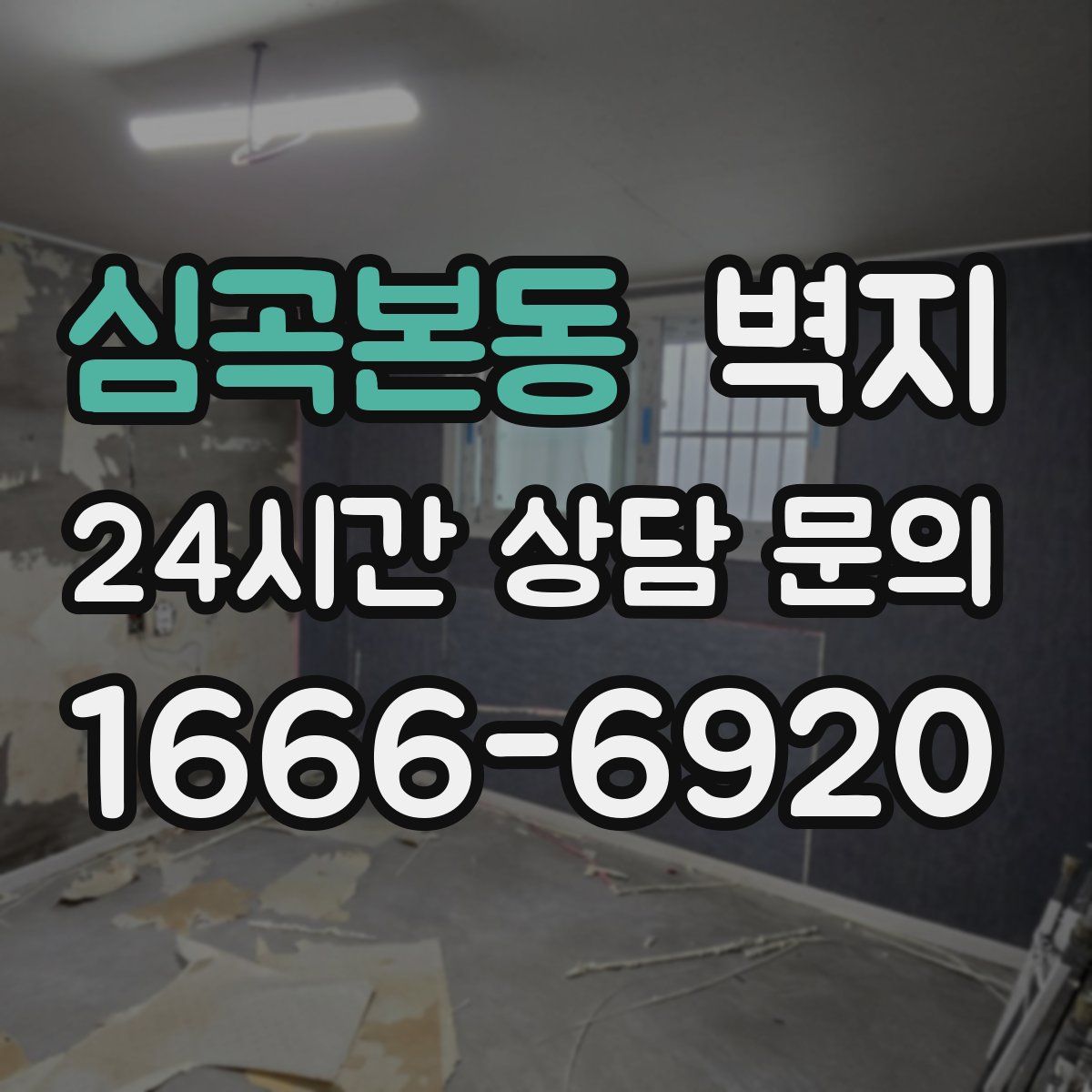 심곡본동 벽지